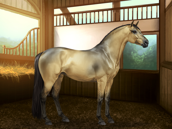 WOW!! SEAL BROWN CREAM TRAKEHNER! - Forum Topic - Equiverse